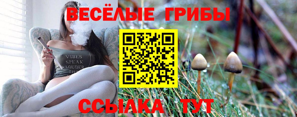 Набережные Челны  Псилоцибиновые грибы MAGIC MUSHROOMS  Вход с VPN 