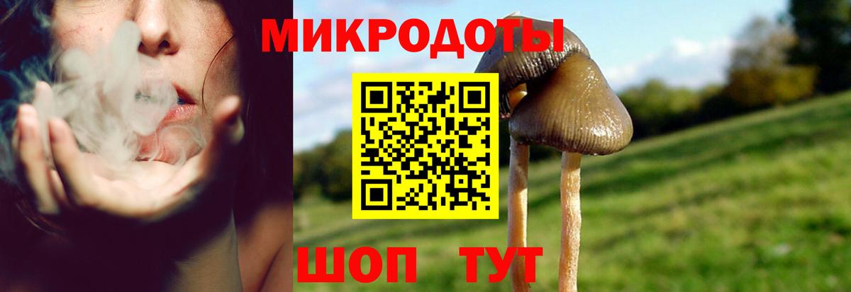 Галлюциногенные грибы Cubensis Набережные Челны